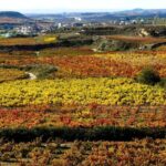 4 Day Basque Country Tour: San Sebastian, Biarritz, Bilbao and Rioja - Day 4: The Vineyards and Medieval Villages of Rioja