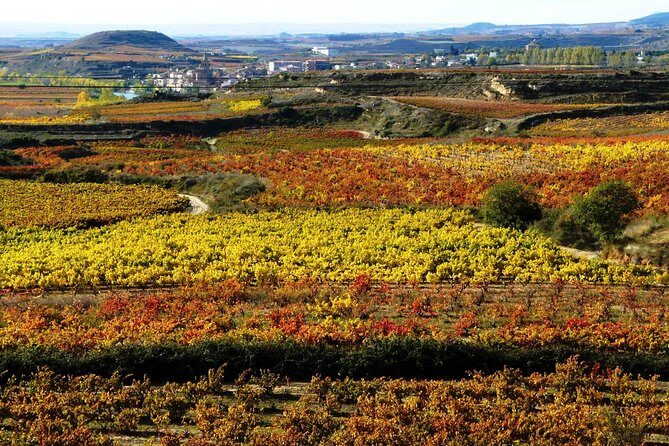 4 Day Basque Country Tour: San Sebastian, Biarritz, Bilbao and Rioja - Day 4: The Vineyards and Medieval Villages of Rioja