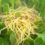 4 hour Kayak & Snorkeling Tour in Ria Formosa Natural park - Why This Tour Offers Great Value