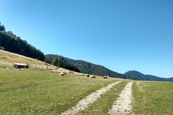 4-Hour Private Alpine Hiking Tour 'Matterhorn of the Prealps' - Practical Details That Matter