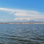 4-Hour Private Boat Tour in Ria Formosa - Who Will Love This Tour?