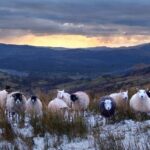 4 hour Private Lake District tour (tour B) - What You’ll Love About This Tour