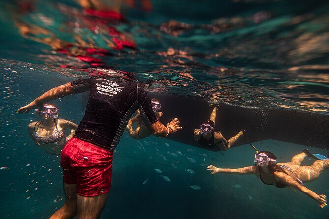 4-Hour Sailing Tour of Lobos Island from Fuerteventura - The Real Value of the Tour