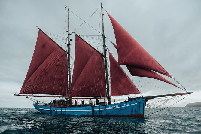 4-hour sightseeing onboard Iconic Faroese Sailing Ship - Insights from the Reviews