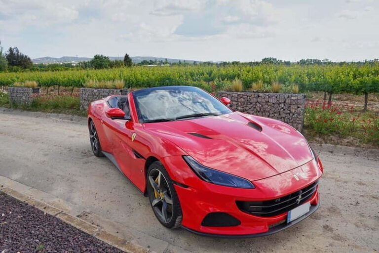 4-Hour Supercar Route to a Catalan Winery from Barcelona - The Cars and the Experience