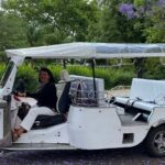 4 Hour Tuk Tuk Tour From the Discoveries to the Tragedy of 1755 - Who Would Love This Tour?