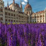 4 hours long private minivan tour in Budapest - A Comprehensive Look at the Budapest Private Minivan Tour