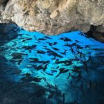 4-hours Small Group Tour - Palaiokastritsa & Corfu Town - Final Thoughts