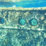 4 Jewels of Zadar, Dugi otok, sunken ship, tunnel - Half day - Authentic Experiences and Highlights: What Travelers Are Saying