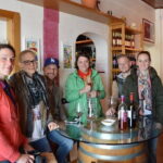 4 WINES TASTING in a Chianti Classico Farm (Visit/tour at the winery included) - A Tour Designed for Wine and Culture Enthusiasts