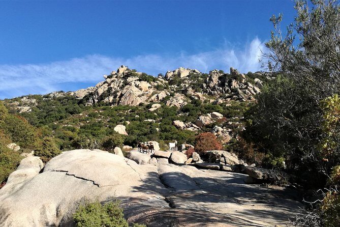 4x4 excursion between mountain and sea - Who Should Consider This Tour?