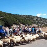 4x4 Safari tour Southern Crete Tripitis Gorge - Who Will Love This Tour?