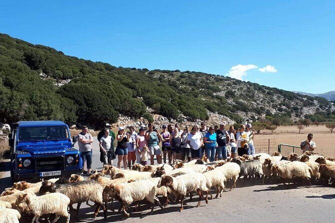 4x4 Safari tour Southern Crete Tripitis Gorge - Who Will Love This Tour?