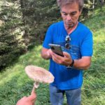 4×4 tour of the Aran Valley - Wildlife, flora and alpine landscapes - Who Is This Tour Best For?