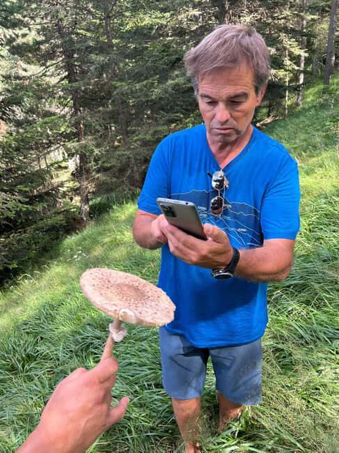 4×4 tour of the Aran Valley - Wildlife, flora and alpine landscapes - Who Is This Tour Best For?