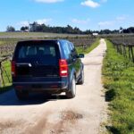 4x4 & Vinho Verde with transportation for the activity - Viana do Castelo & Regional Highlights
