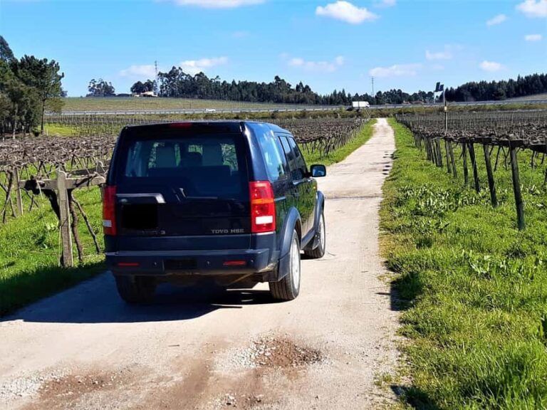 4x4 & Vinho Verde with transportation for the activity - Viana do Castelo & Regional Highlights