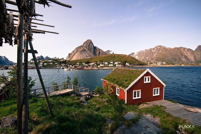 5 Highlights Of Lofoten From Svolvær - What to Expect from the Tour