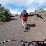 5-Hour Mount Etna Mountain Biking Tour - What to Expect in Terms of Experience