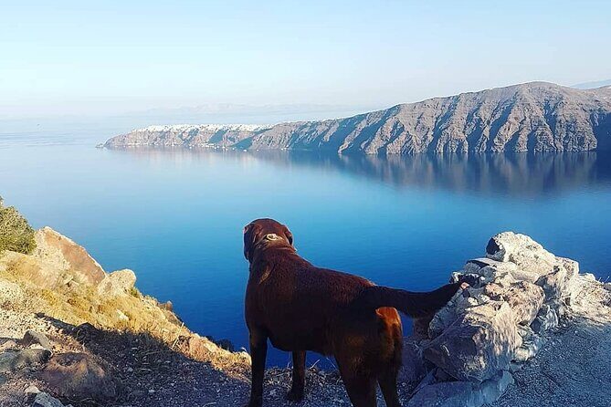 5-Hour Private Custom Santorini Tour - Who Should Book This Tour?