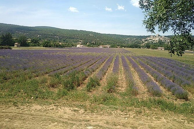 5-Hour Private Sightseeing Tour of the Provence from Marseille in Luxury Car - Who Will Love This Tour?