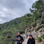 5 hours Mallorca hiking tour in Castell d Alaro - Who Will Love This Tour?