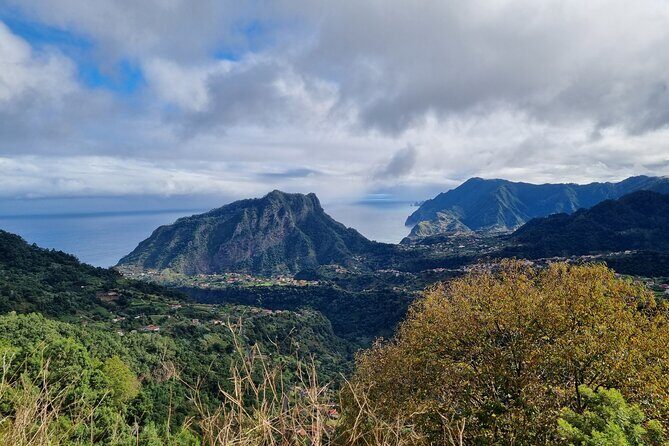 5 Hours Private Tour to Santana, Thatched houses - Real Experiences: What Past Travelers Say