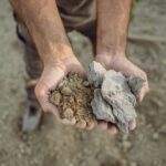 5 Wine Tastings in San Gimignano - The Setting and Atmosphere