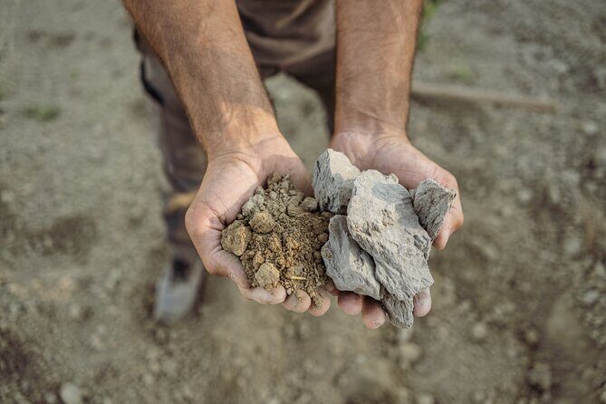 5 Wine Tastings in San Gimignano - The Setting and Atmosphere