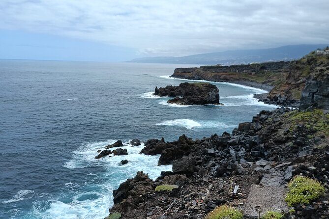 6hrs Private Tour in North Coast of Tenerife - What’s Included & What’s Not