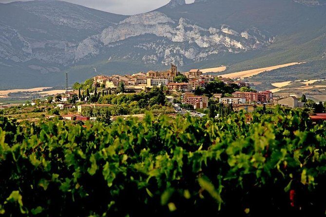 7-Day Bilbao and Basque Country - Who Is This Tour Best For?