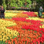 7-Day Taste of Central Europe Tour to Paris, Amsterdam, Brussels and more! - FAQs