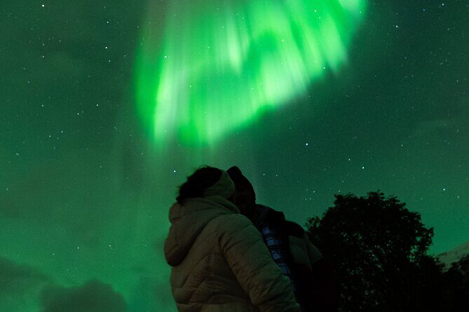 7 hours Tromsø Aurora Tour: Photos, snacks & warm drinks included - Who Should Consider This Tour?