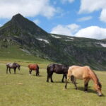 7 Rila lakes and Rila monastery day tour from Sofia - The Itinerary and What to Expect
