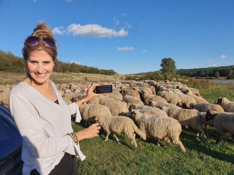 7h Dracula's Castle Private Tour from Bucharest - Fast Tour - FAQs