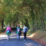 8-Day Camino Frances Pilgrimage Tour from Sarria to Santiago - 2nts Santiago - Practical Considerations
