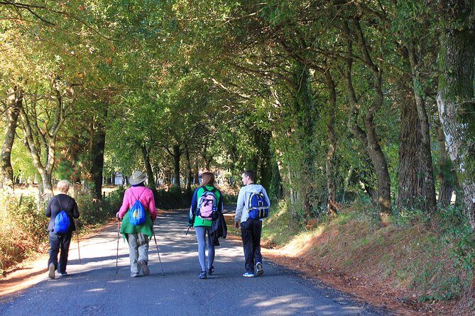 8-Day Camino Frances Pilgrimage Tour from Sarria to Santiago - 2nts Santiago - Practical Considerations