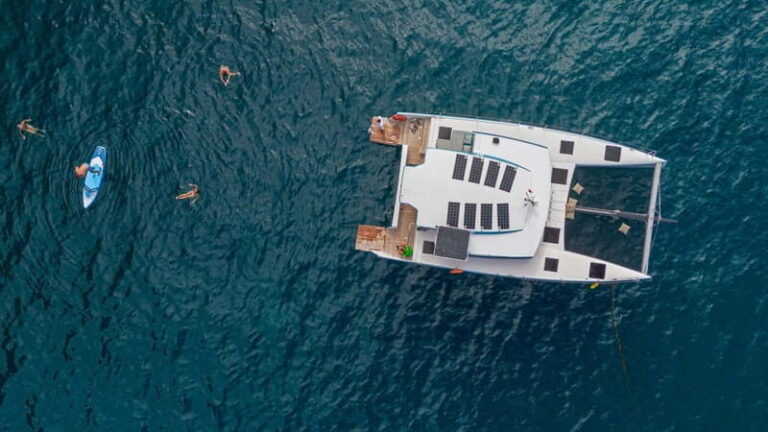 8-Hour Luxury Cruise from Funchal to Ponta de São Lourenço - What Makes This Tour Stand Out?