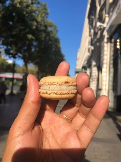8-hour panoramic tour of Paris in Portuguese - A Glimpse into French Heritage