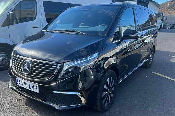 8-Hour Rental in a Luxury Car and Driver/Official Private Guide in Tenerife - What’s Included and What’s Not