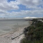 8 Hours Visit to the Camargue and the Salins dAigues-Mortes - Final Thoughts: Is This Tour for You?