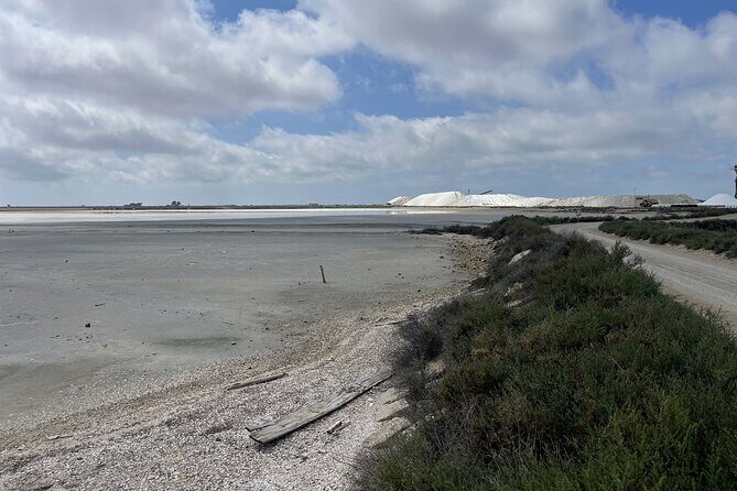 8 Hours Visit to the Camargue and the Salins dAigues-Mortes - Final Thoughts: Is This Tour for You?