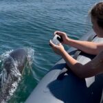 90 Minute Coastal Explorer in Torquay - FAQs