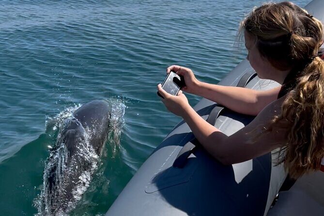 90 Minute Coastal Explorer in Torquay - FAQs