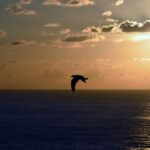 A Coruña: Private Guided Walking Tour - How Does This Tour Compare?