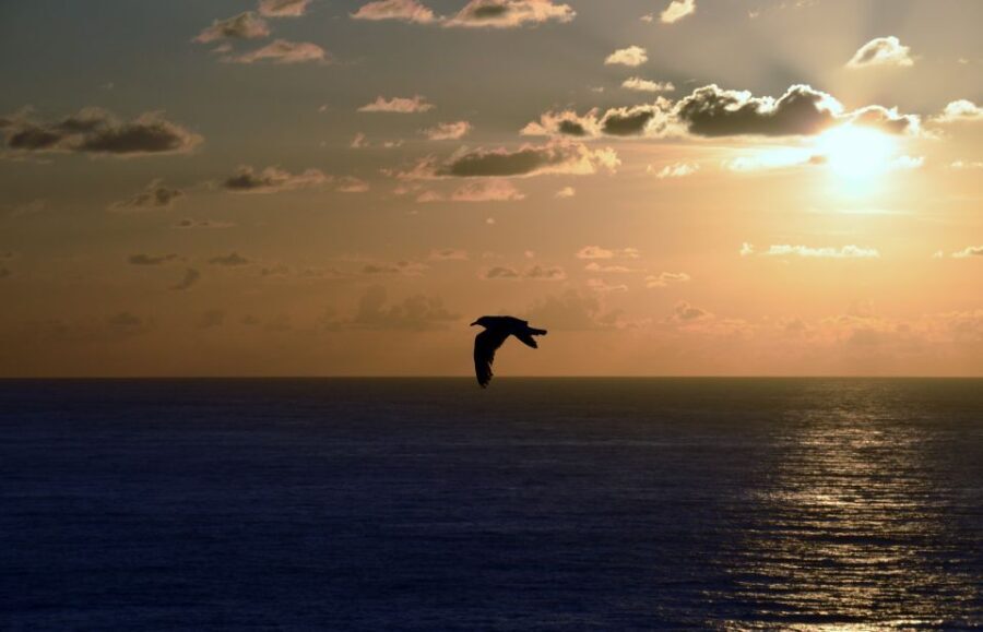 A Coruña: Private Guided Walking Tour - How Does This Tour Compare?