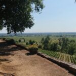 A day in Saint-Émilion and its Châteaux in a private tour (Van Luxe) - Why This Tour Offers Great Value