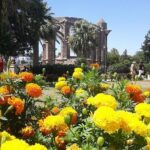A Day Trip to Medieval FAMAGUSTA (Kyrenia, Nicosia or Famagusta ) - Who Should Book This Tour?