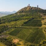 A delightful wine tasting in the scenic countryside with lunch - What We Like and What to Consider