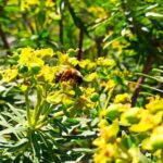 A hike to the Devil's Saddle - The Sum Up